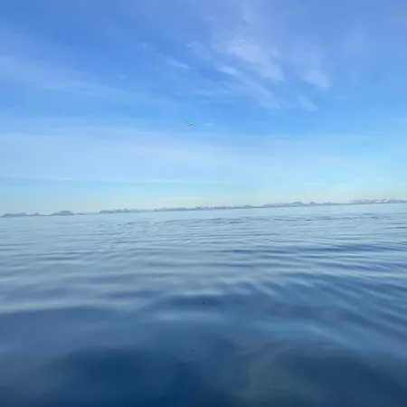 Modern Lofoten, Amazing View! 펜션 *