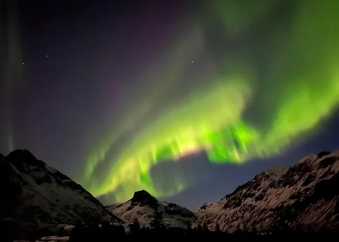 Modern Lofoten, Amazing View!
