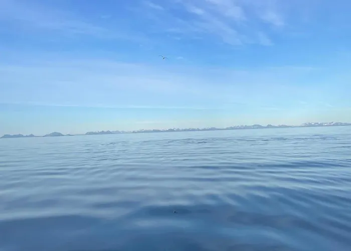 Modern Lofoten, Amazing View! Vakantiehuis *