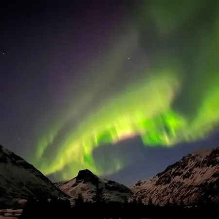 Modern Lofoten, Amazing View!